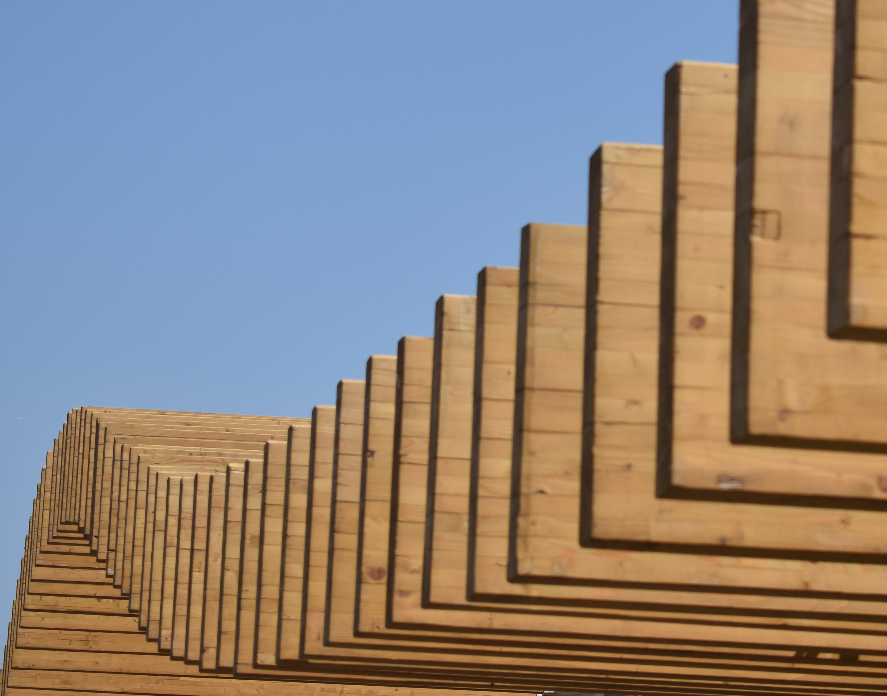 Timber